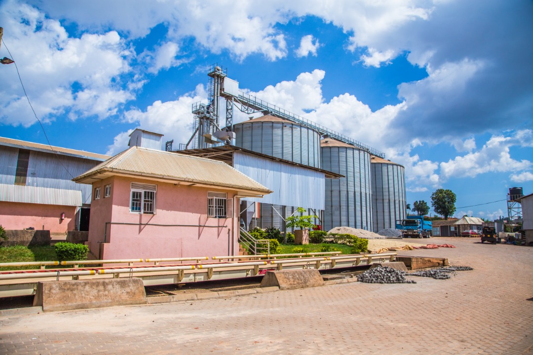 WhatsApp Image 2021-04-23 at 1.01.09 PM.jpeg